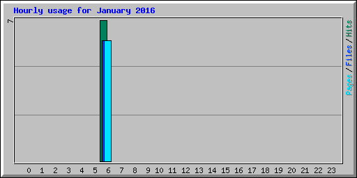 Hourly usage for January 2016